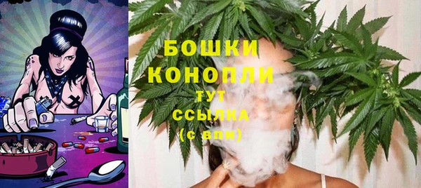 гидропоника Вязьма