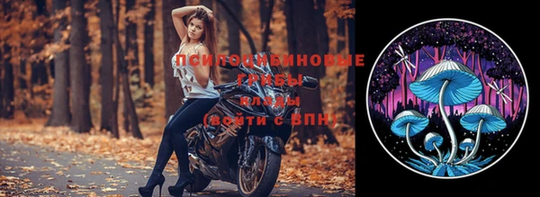экстази Вяземский