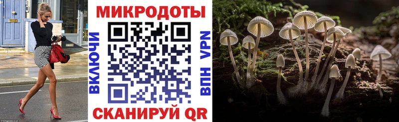 Галлюциногенные грибы GOLDEN TEACHER  хочу   Копейск 